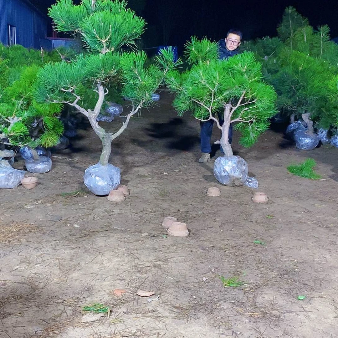 上***善完全开放11111111111111111