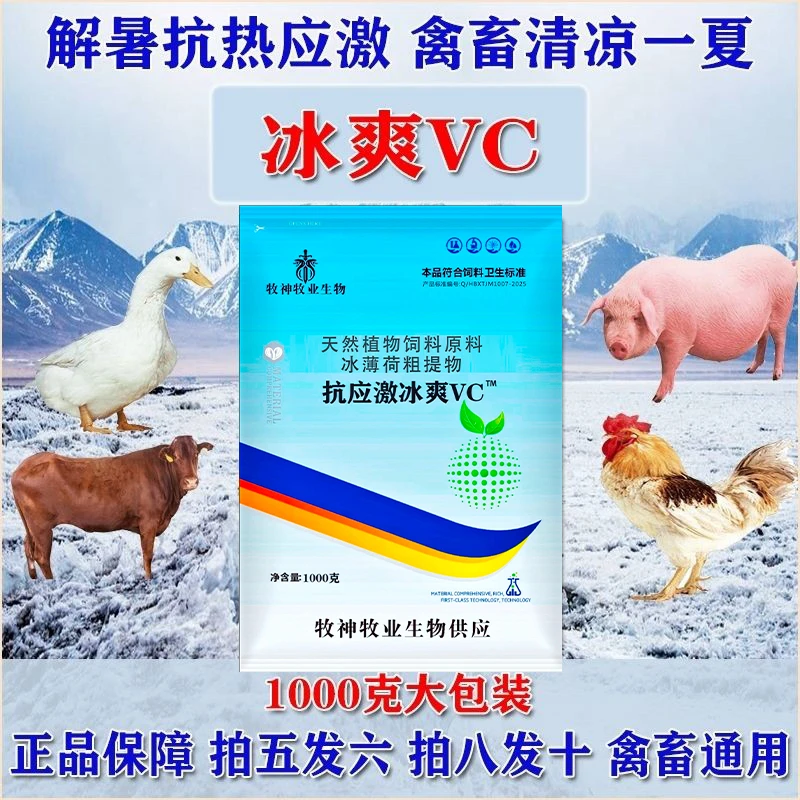 兽用冰爽VC冰爽一夏禽鸡鸭鹅牛羊猪用抗热应激清热解暑饲料添加剂