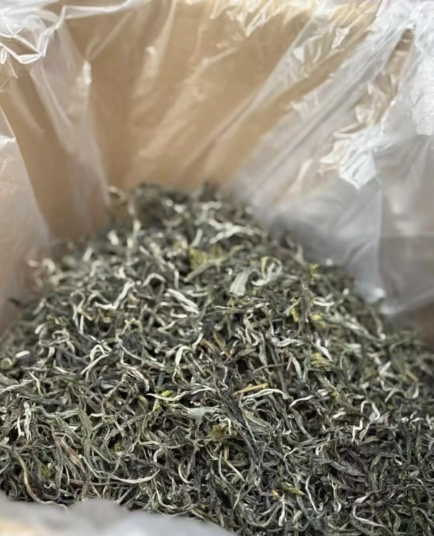 南糯山石头老寨古树挑采纯料散茶拔玛茶
