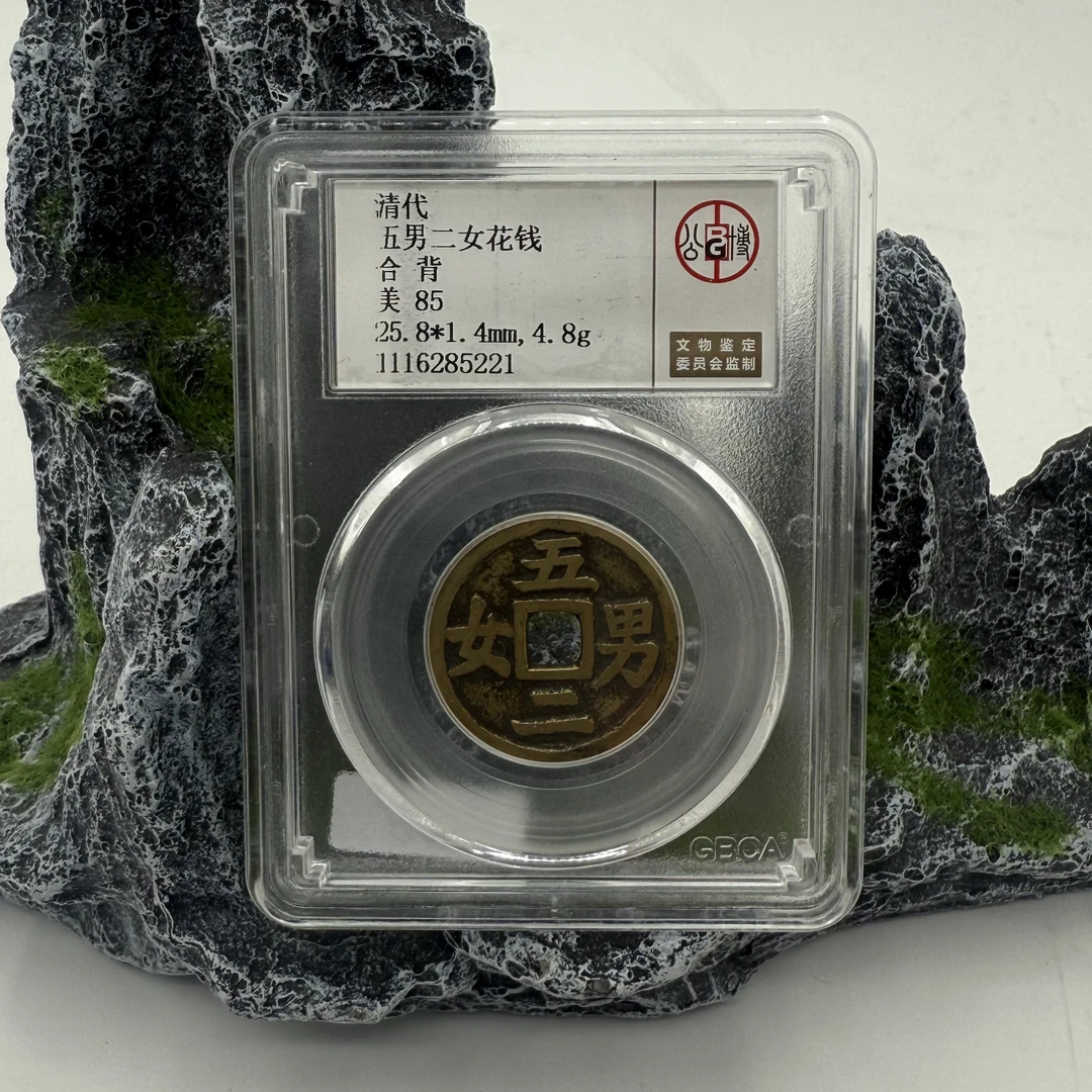 清/五男二女/85分/合背/5221