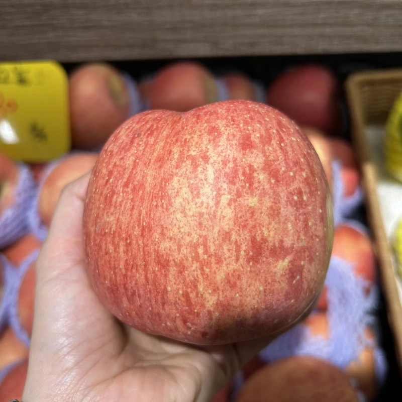 洛川苹果富士苹果500g广东省