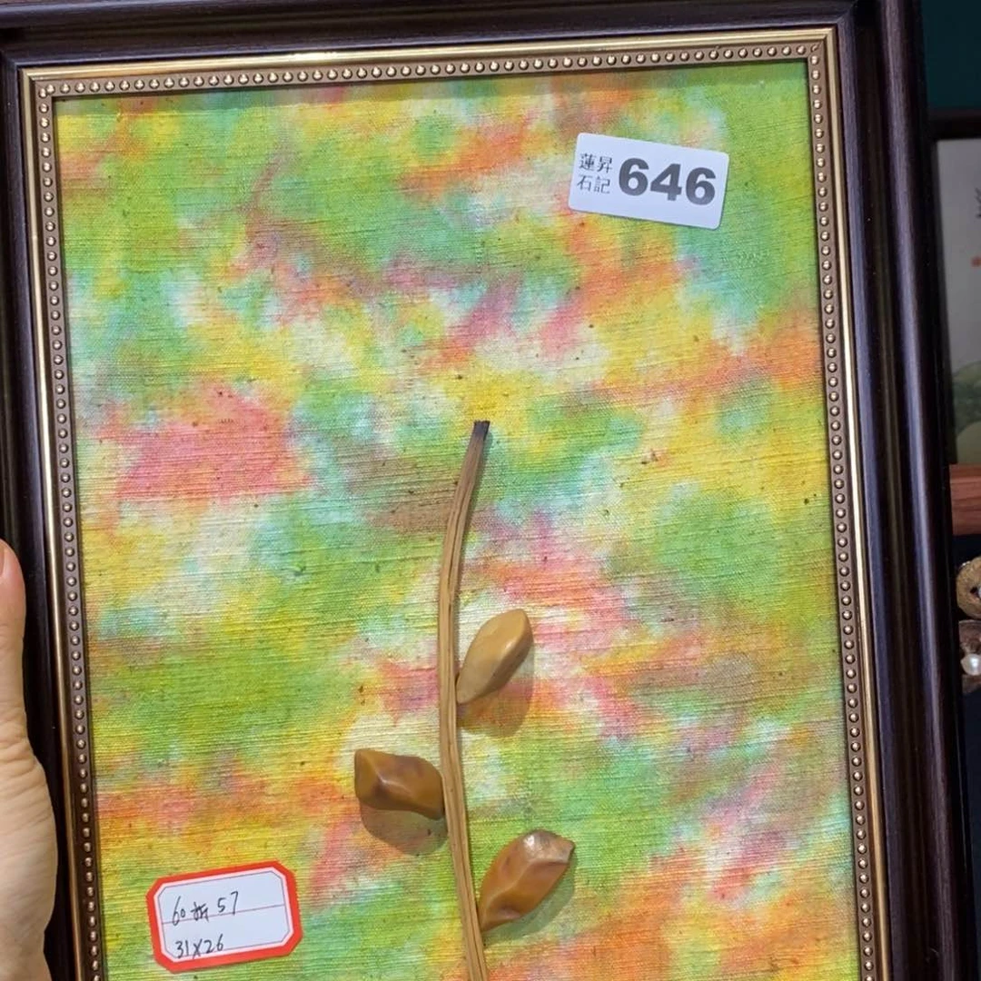 核桃木/黑胡桃（胡桃木）雅***3646