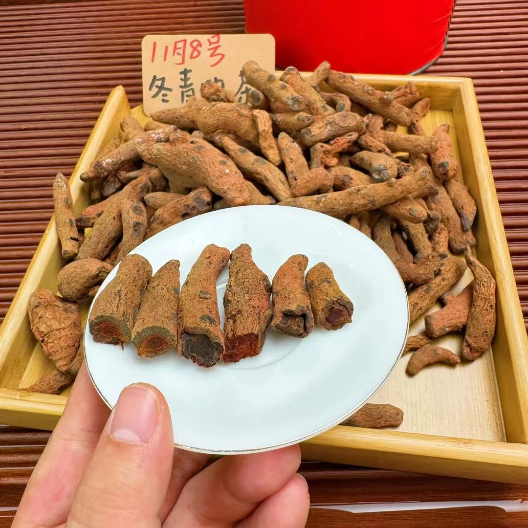 益母红络参 百搭益身茶 哀牢山产区 秋冬必备  冬青收茶