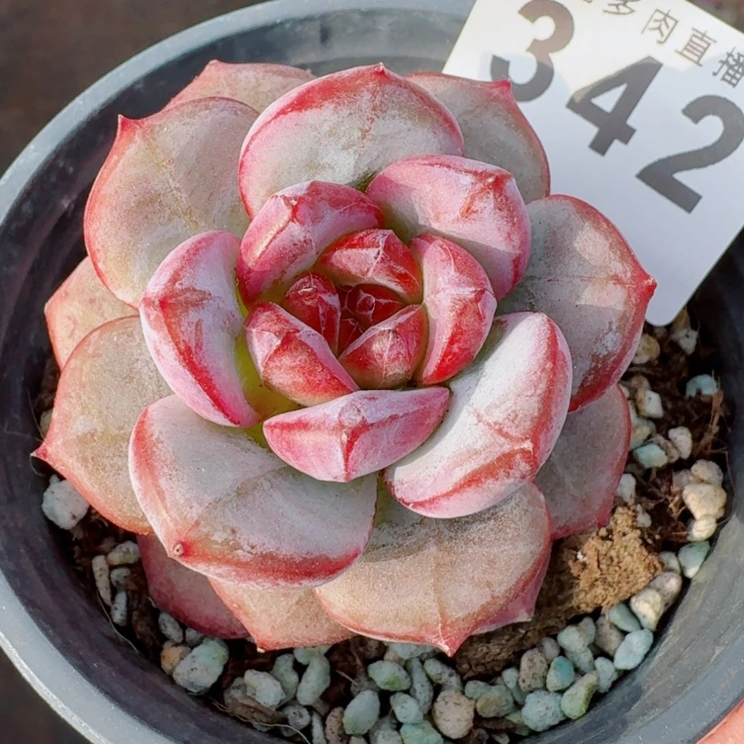 长相思      愿你一路坦途，乘风破浪展宏图