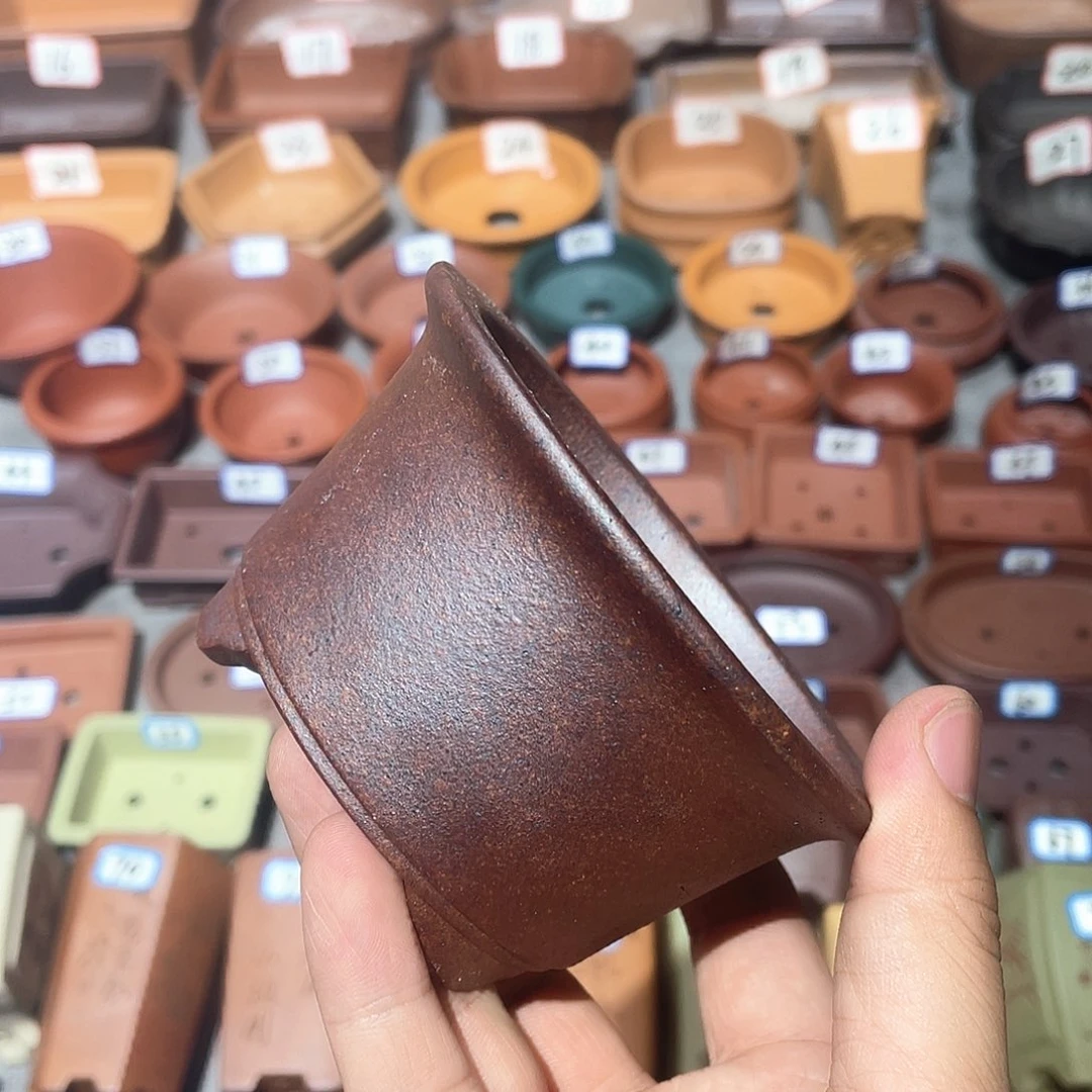 紫砂小盆9*4.5cmmmm