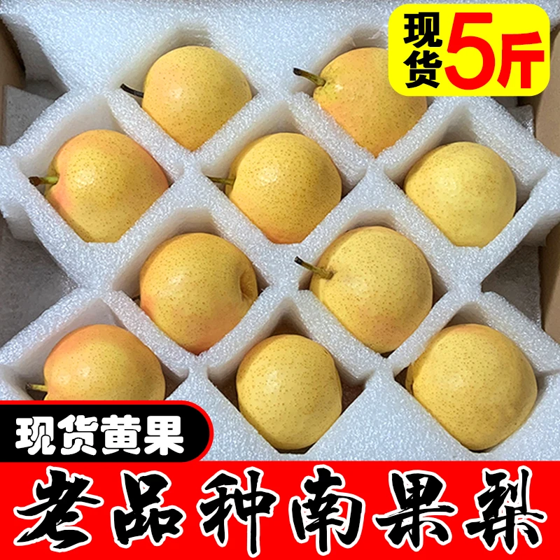 正宗鞍山特产南果梨海城南国梨酸甜酒香味净重4.8-5.2斤中通包邮