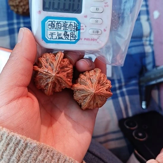 雨***海野生小众文玩核桃四棱子