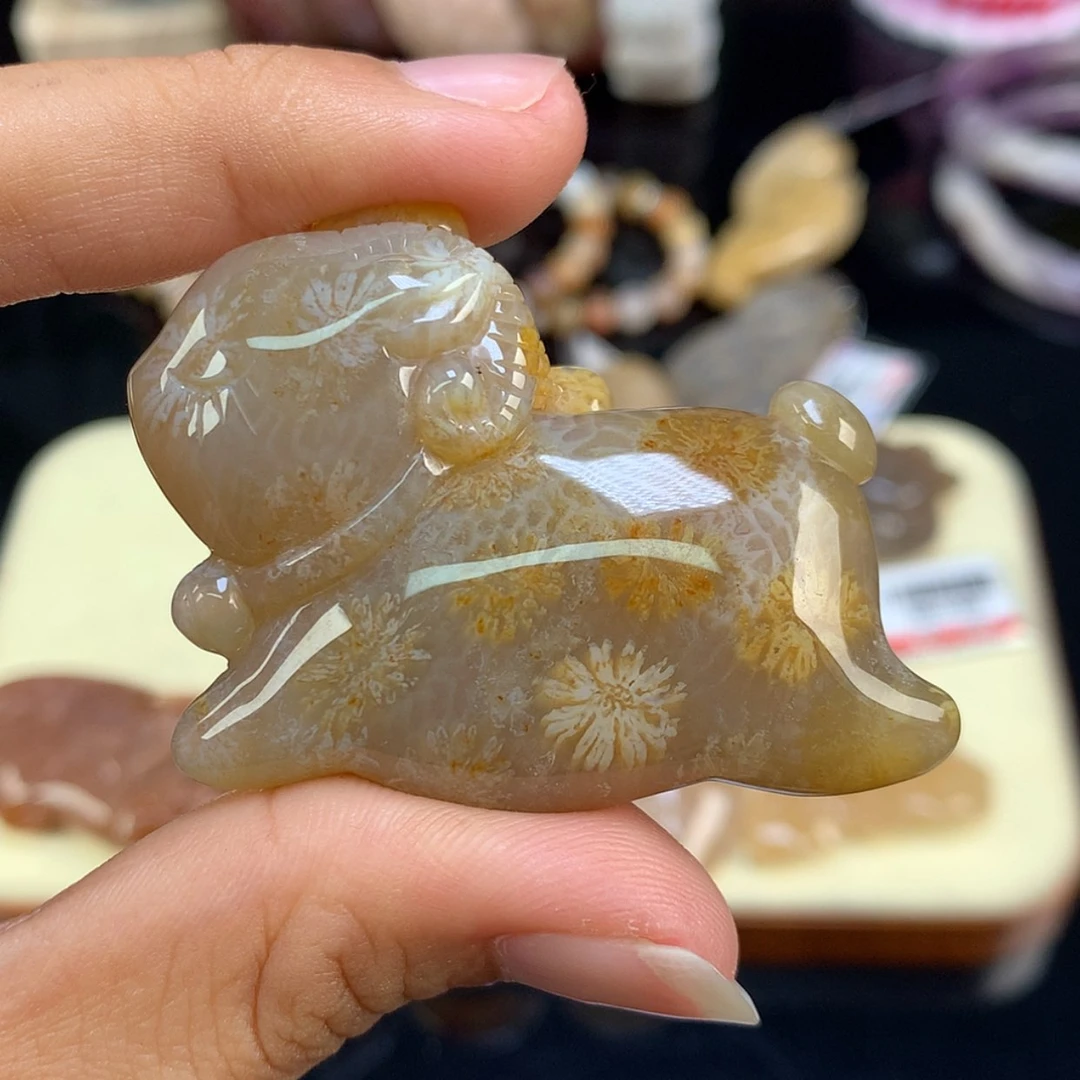 【闪购商品】颈饰未镶嵌硅化珊瑚（珊瑚玉）20号羊