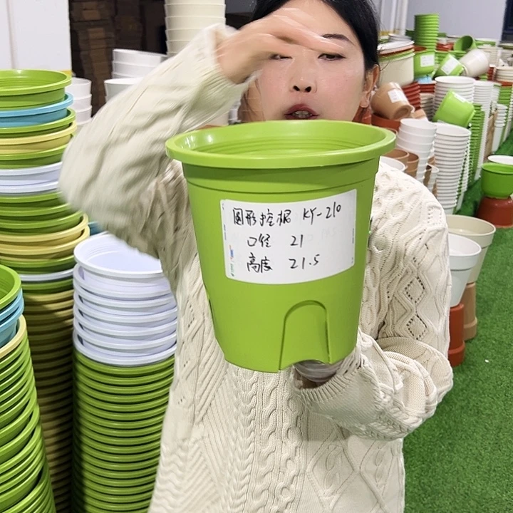 正品圆控口21高21果绿8只无托