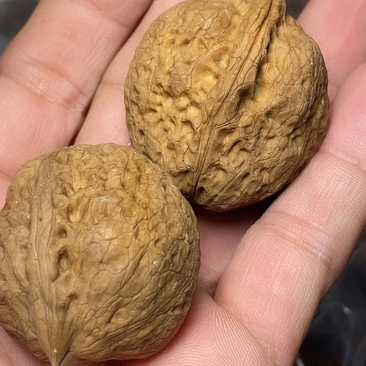 把件文玩核桃云南铁核桃24