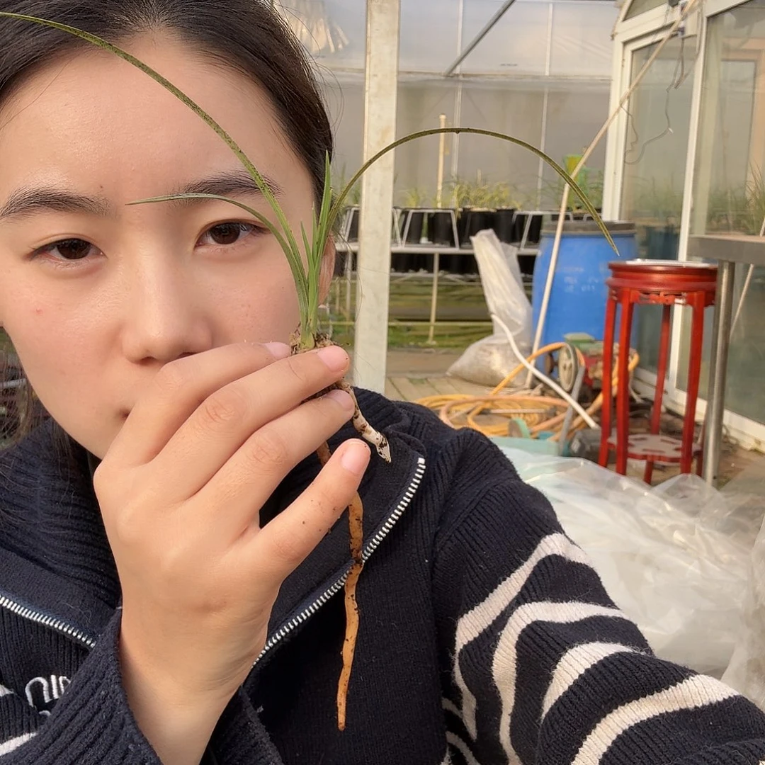 随***缘完全开放123456880998