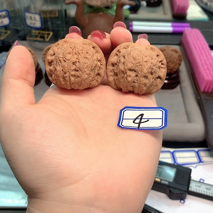 木质类血麒麟40尺寸