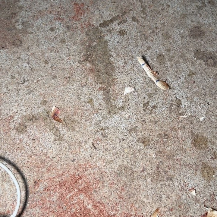 追***∯木海南，海北飞灰尘。甘受商于仪诳楚