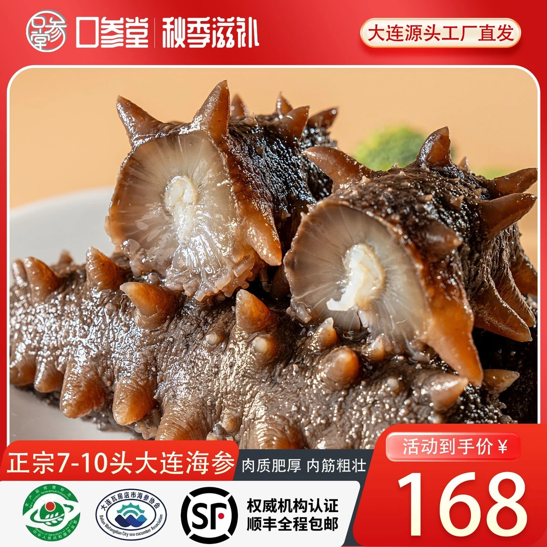 【鲜食海参】正宗大连海参7-10头 源头工厂直供 滋补养生必备