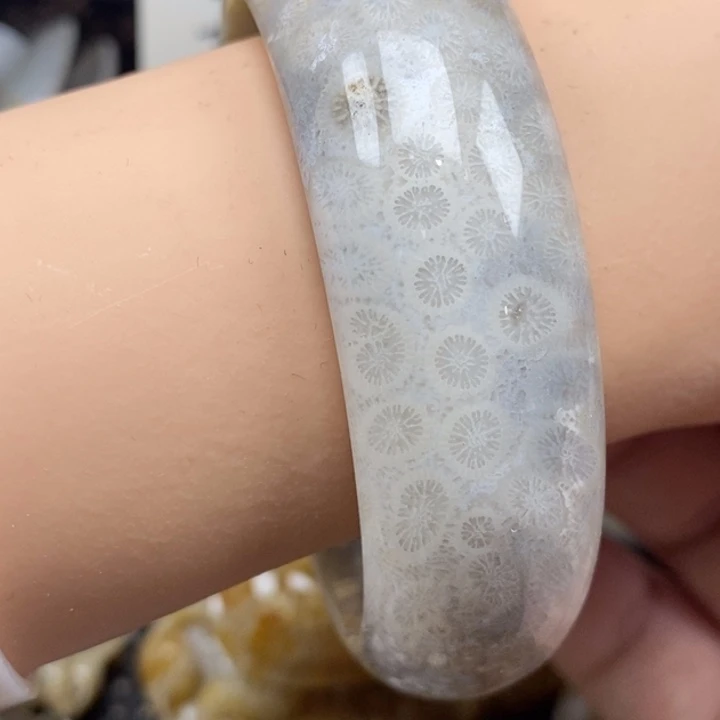 硅化珊瑚（珊瑚玉）未镶嵌颈饰