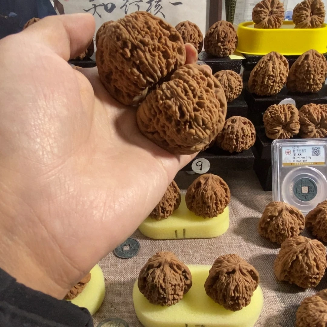 木质类47尺奥迪粗拉丝