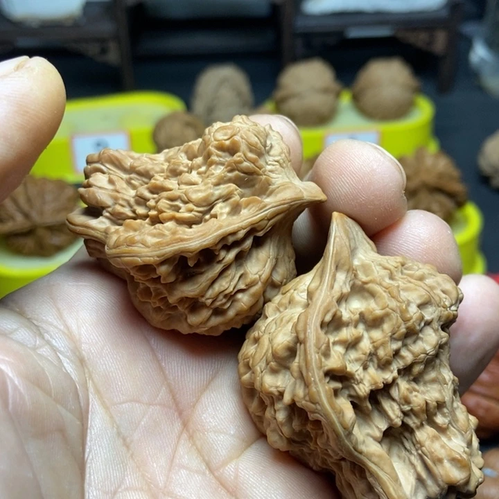 红酸枝木类小鸟5