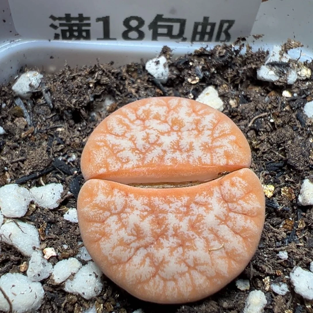 【闪购商品】 943。