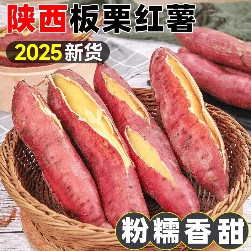 陕西当季正宗板栗红薯现挖新鲜红皮黄心临潼地瓜番薯蜜薯沙地香薯