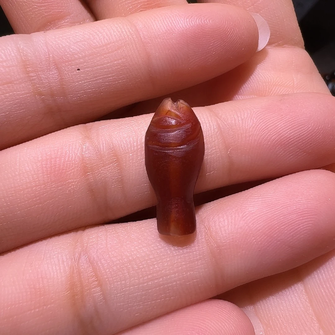 池***渊树脂制品各种各样鱼
