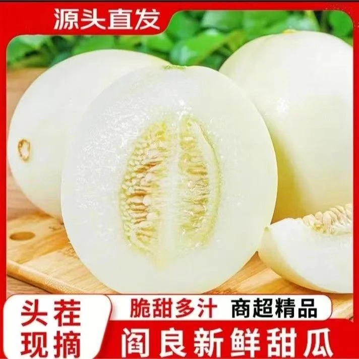 【果园直发】陕西阎良蜜罐牛奶甜瓜小籽甜瓜应季水果HH