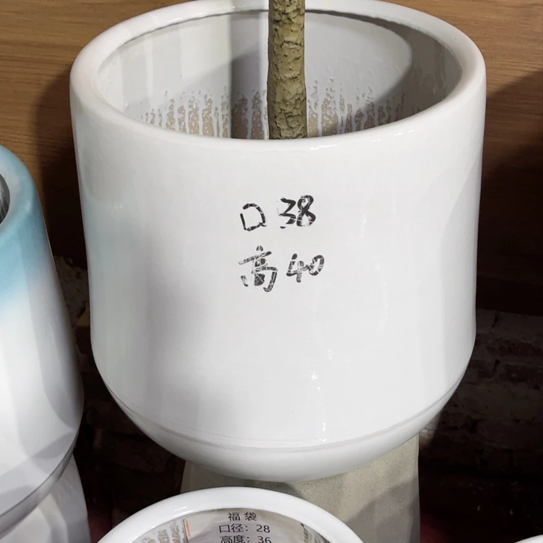 z****u2号白色特大号花盆正常品