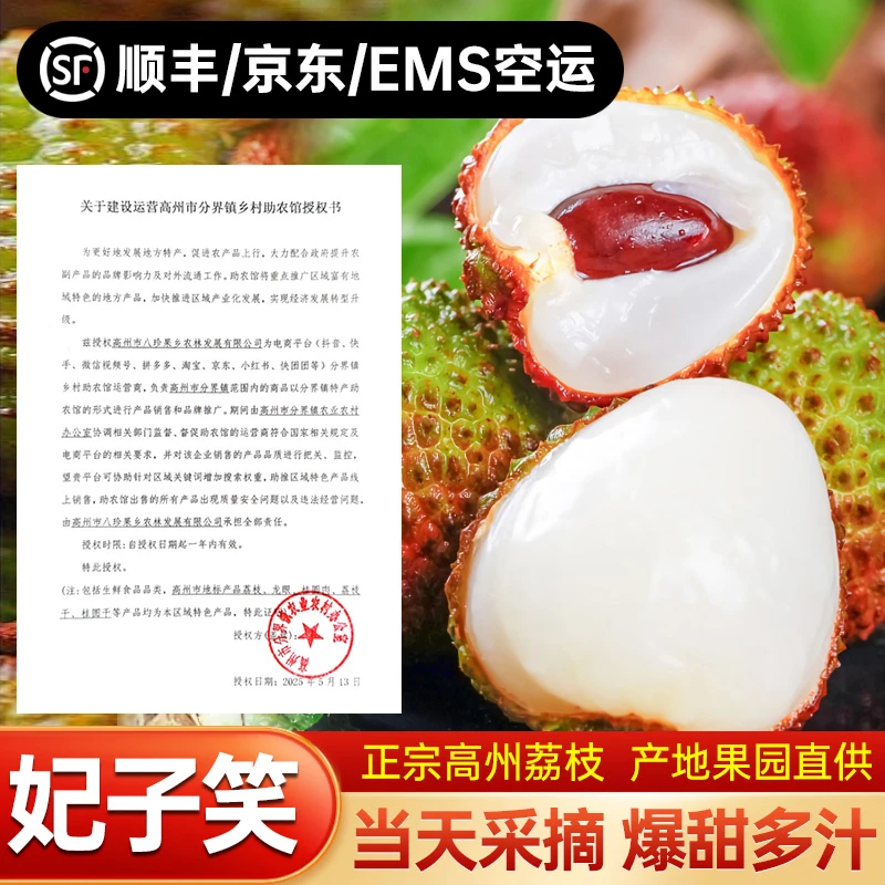 【头茬高州妃子笑荔枝】树熟新鲜现摘当季水果香甜饱满肉厚核小