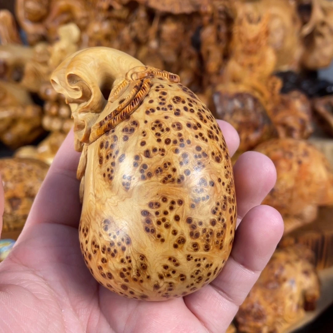 柏木（崖柏）太行崖柏