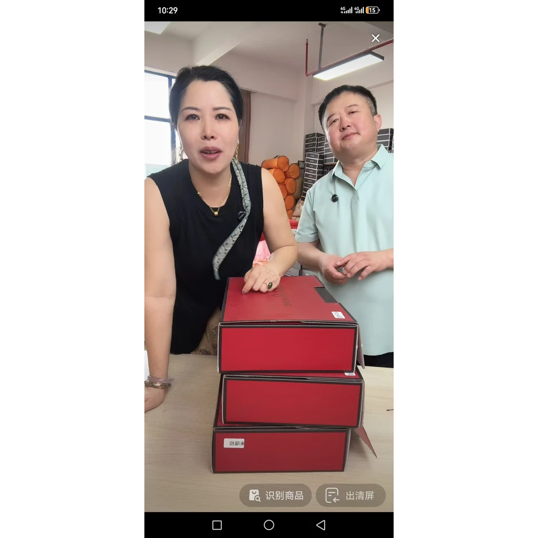 2025新款轻奢纯棉刺绣全棉四件套-苏菲娅