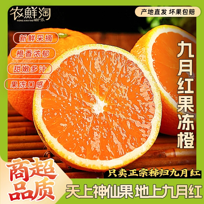 正宗湖北秭归九月红脐橙果冻橙9斤 香甜多汁细嫩化渣应季新鲜水果