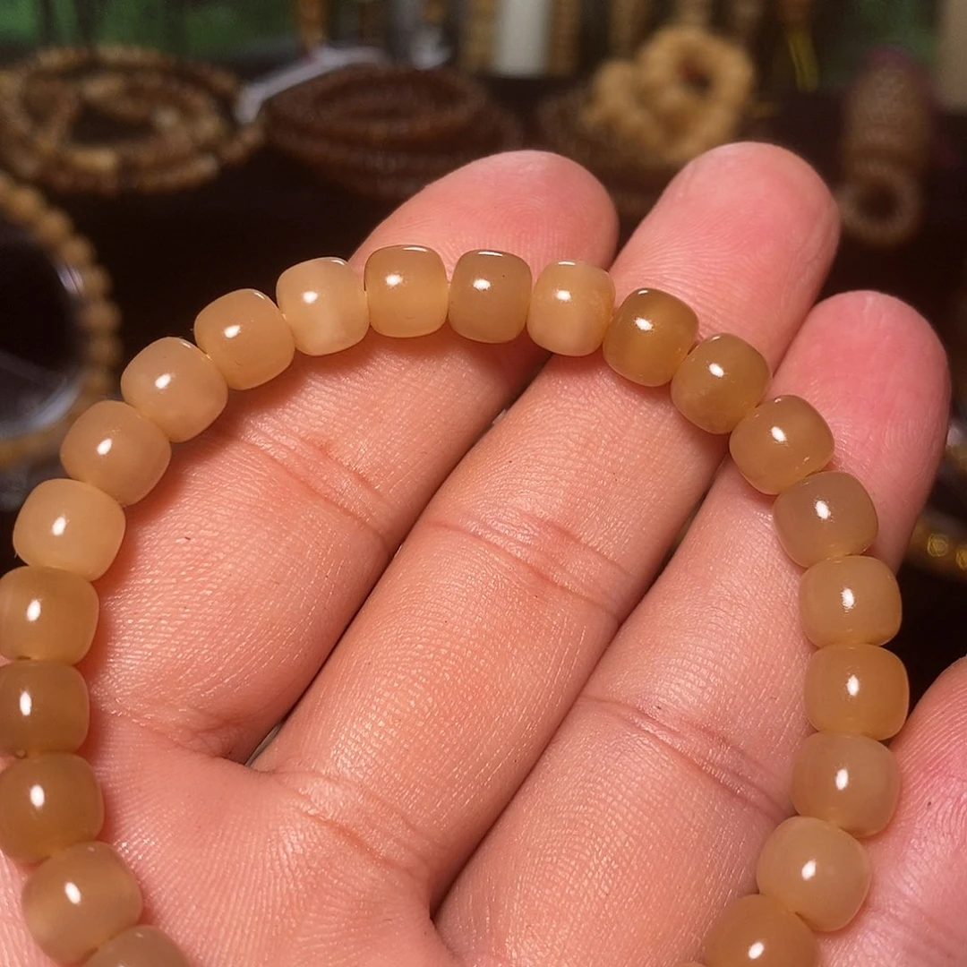 手串凤眼菩提j**g