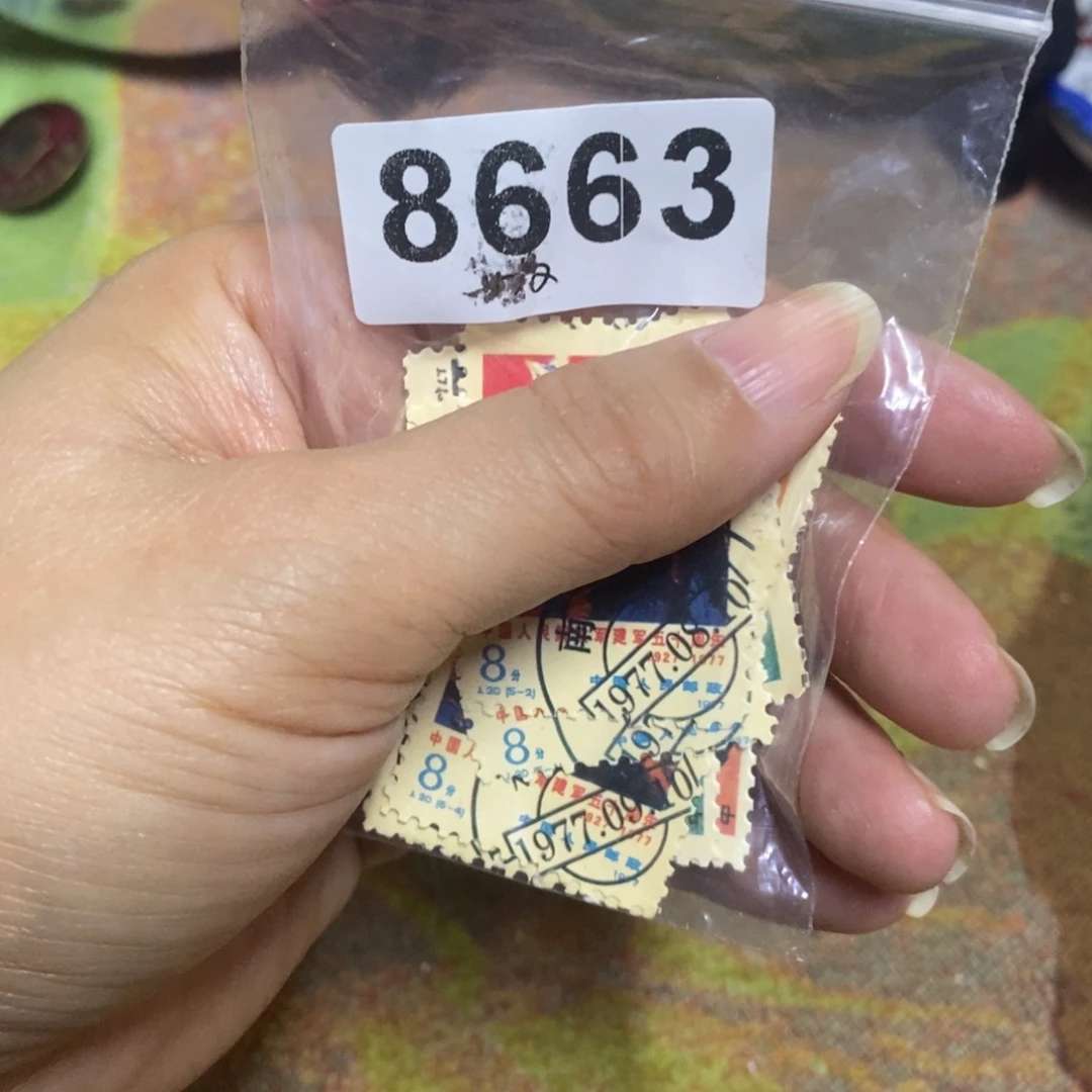 景德镇陶瓷艺术家