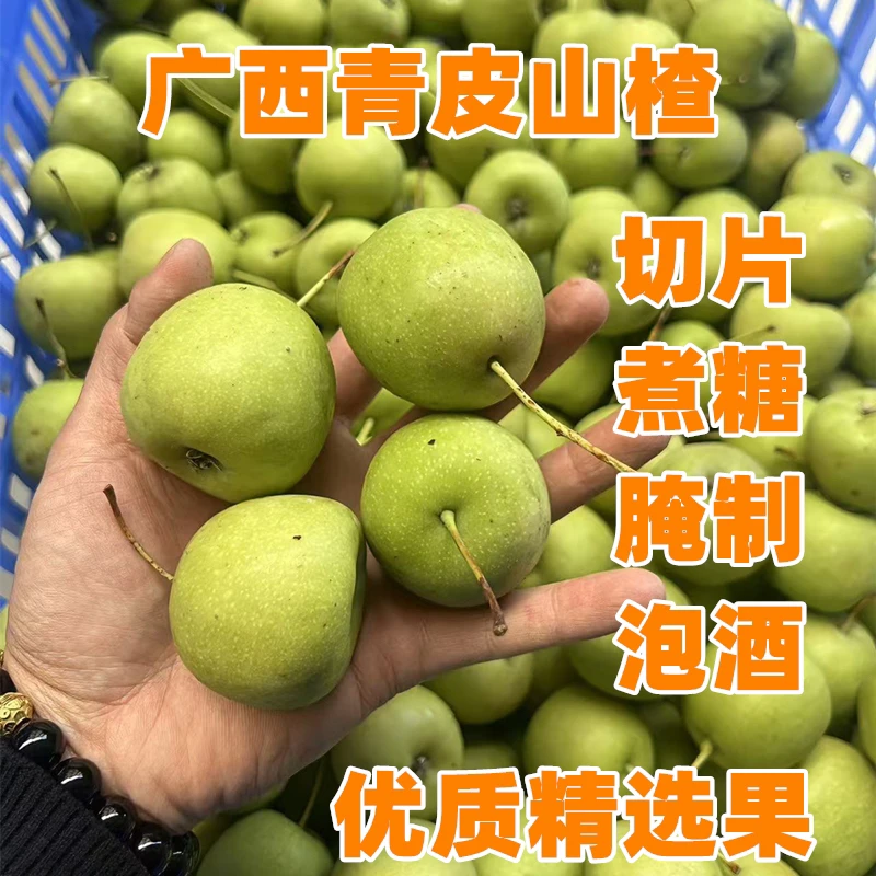 广西瑶山新鲜山楂果青皮果山楂果泡酸泡酒煮糖酸涩孕妇果滑肉多汁