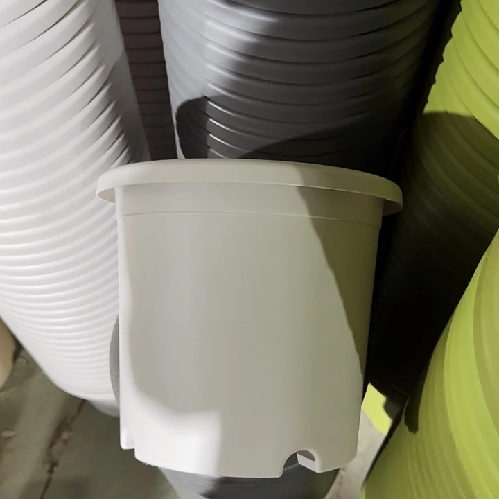 四季4号灰白无托10个特价微瑕