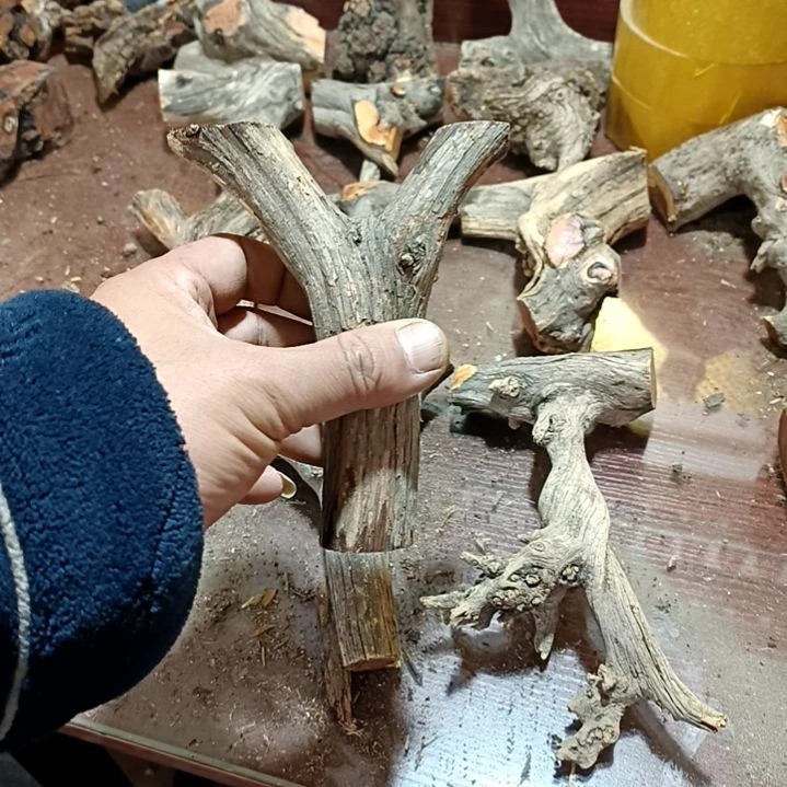 柏***荫香榧木崖柏原叉崖柏原叉崖柏