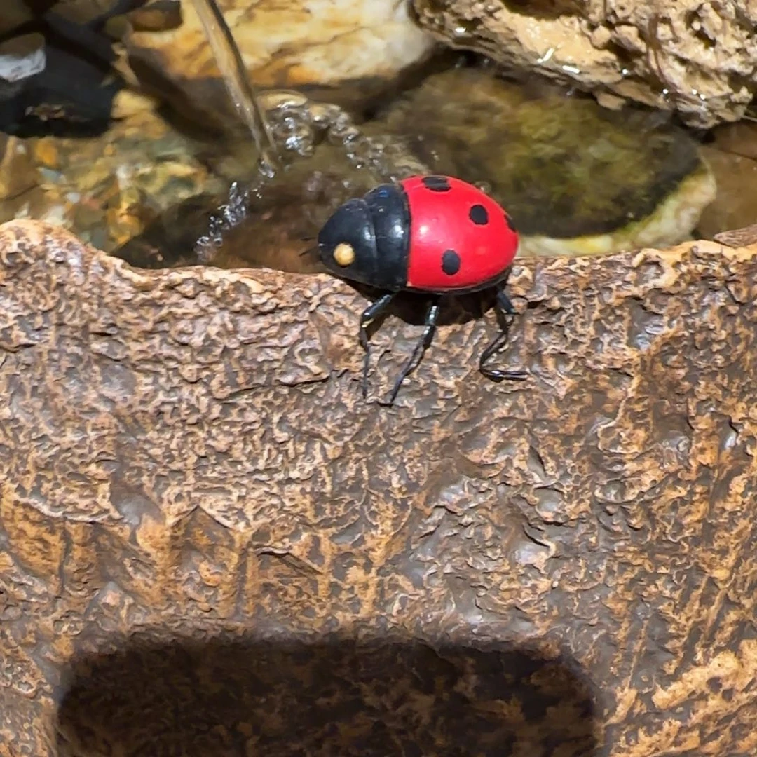 反反复复反反复复反反复复反反复复