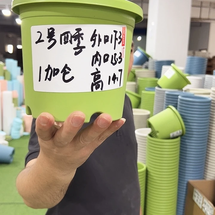 四季2号特价果绿色10个无托