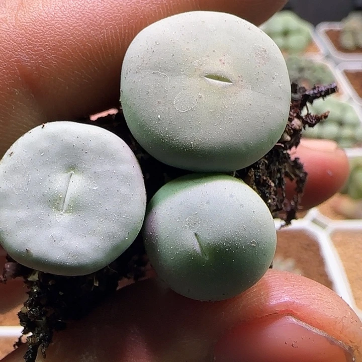 哈哈哈哈哈哈哈哈哈哈。 309