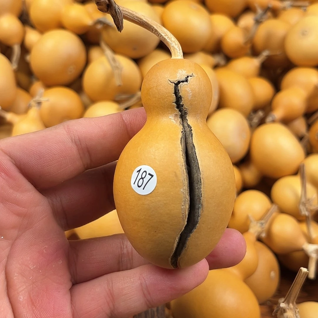 三葫芦葫芦葫芦葫芦187