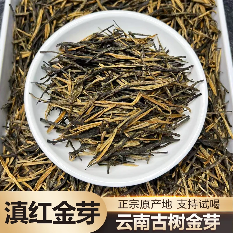 2025新茶古树红茶云南大叶种密香滇红大金芽浓香耐泡口粮茶