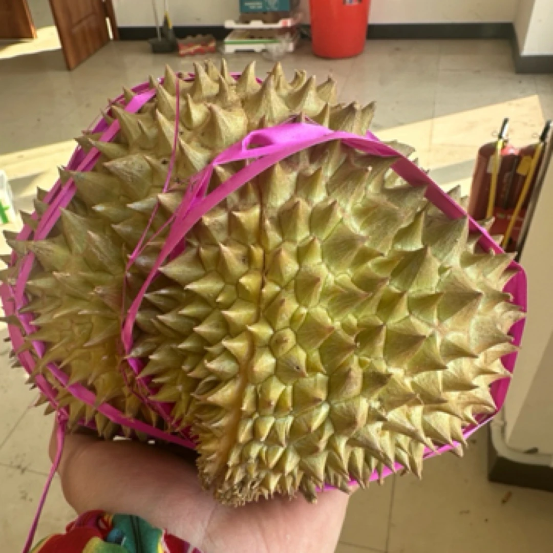 泰国树熟金枕榴莲鸡西小时达同城配送