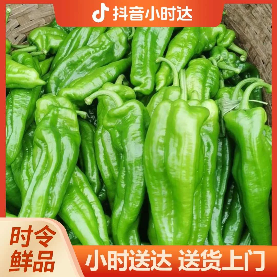 新鲜辣椒薄皮蔬菜青椒约300g