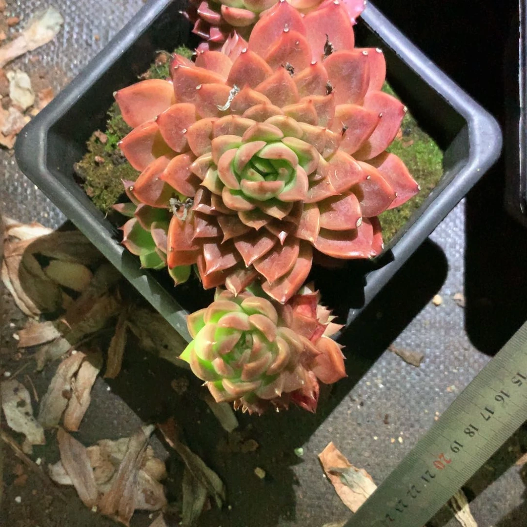 水****56327不包掉头整散不售后