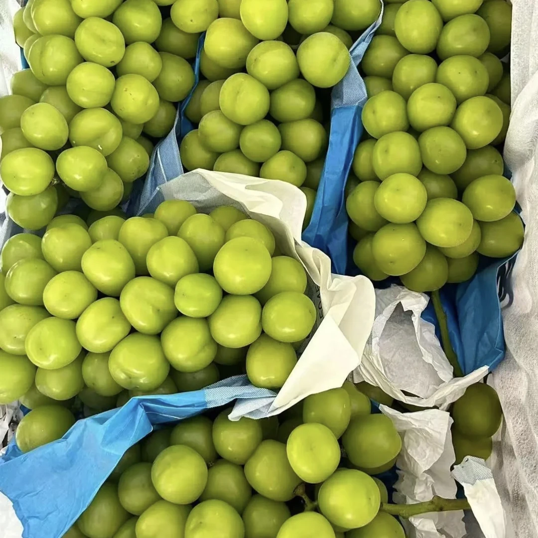 【顺丰包邮】产地直发正宗整串阳光玫瑰青提应季新鲜水果