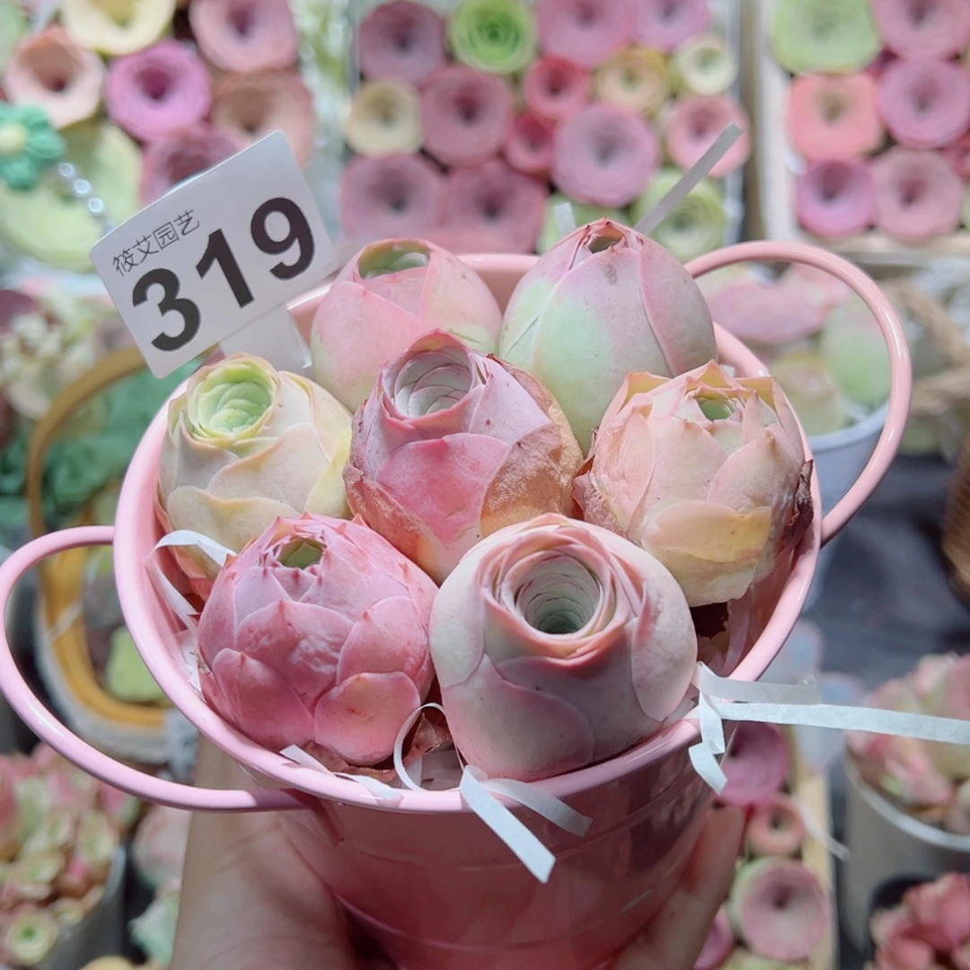 319一桶粉包子组合。