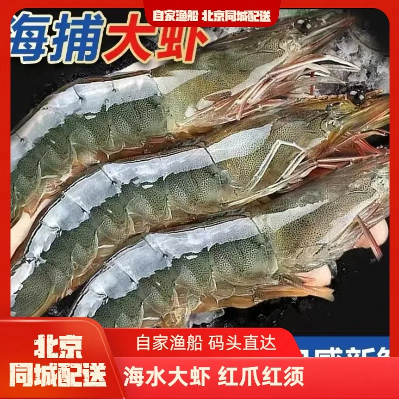 海水大虾 红爪红须大虾 盐冻无冰 口感劲道 肉质鲜美 斤