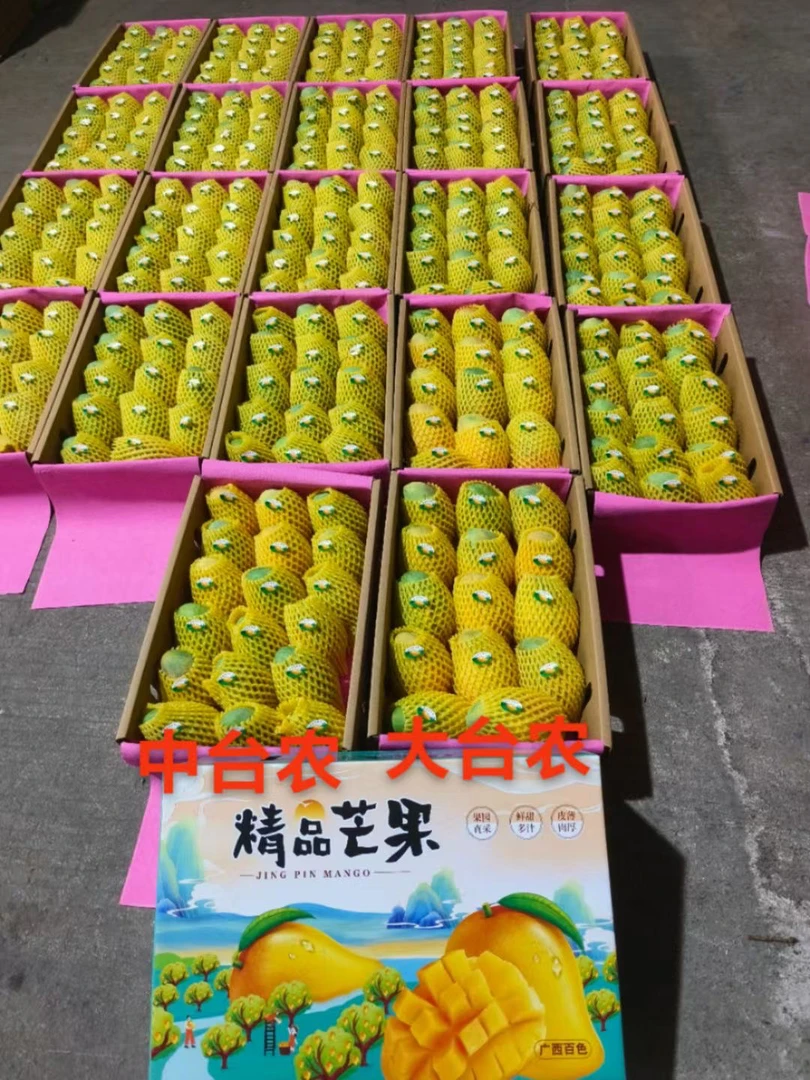 新鲜当季中台农多种产地芒果美味可口水果