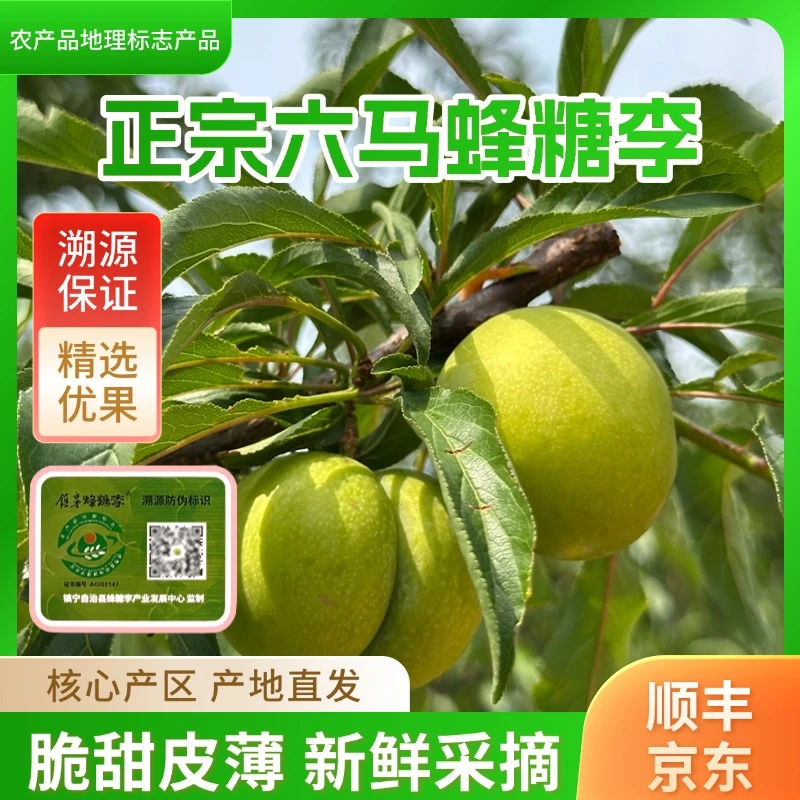 贵州李子六马正宗蜂糖李核心产区皮薄肉厚爆汁新鲜采摘脆甜