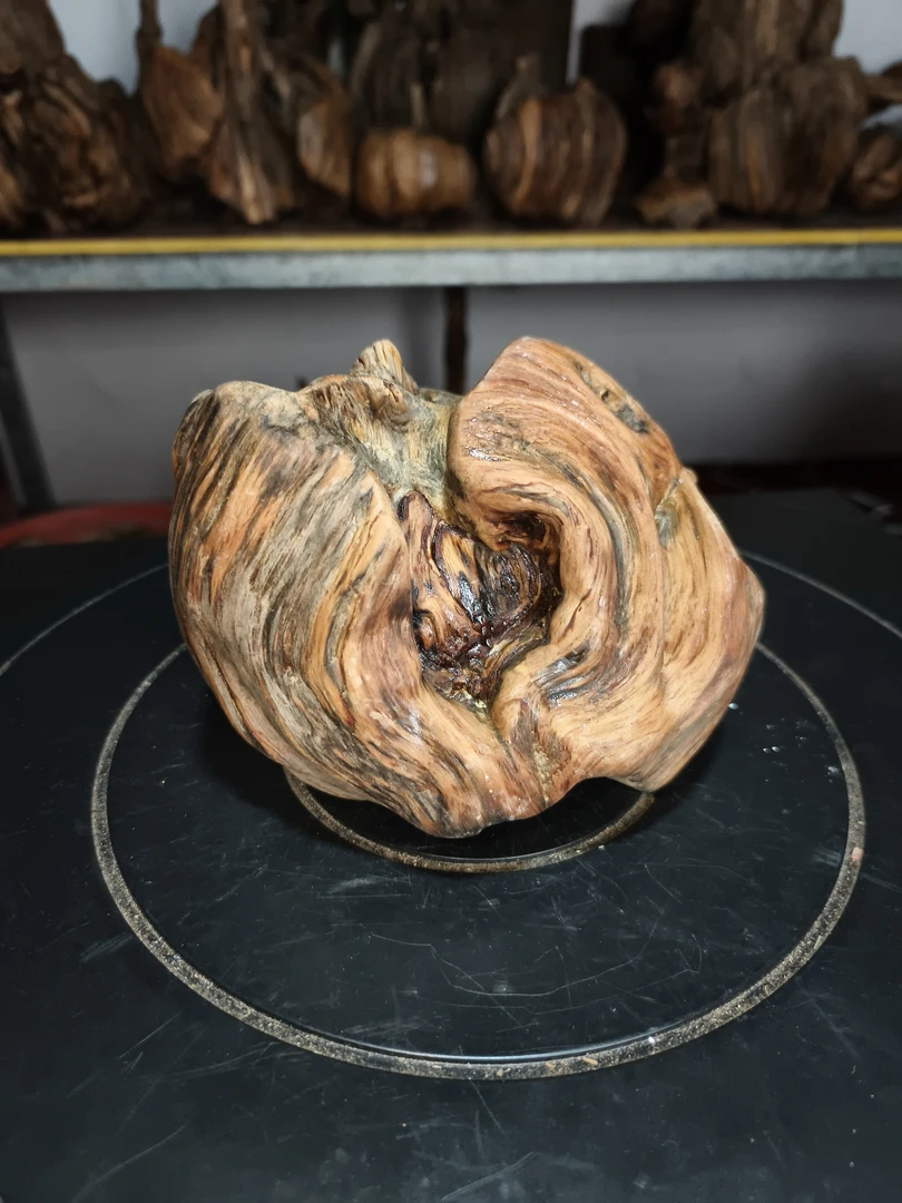 7号松明子琥珀木，天然形成（自带油性，自带香味），精美摆件老料