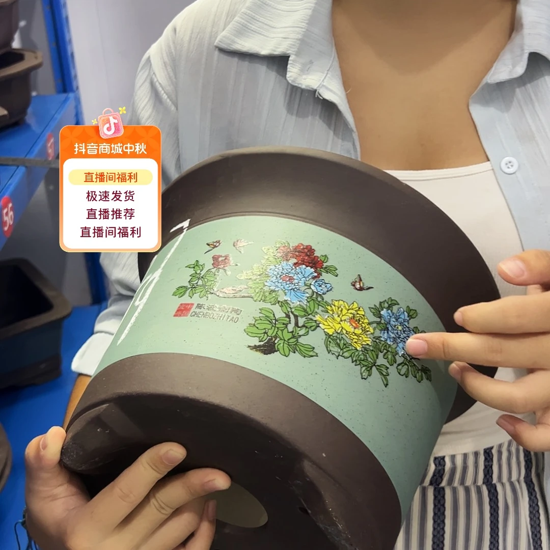 陈波金钟绿色大号